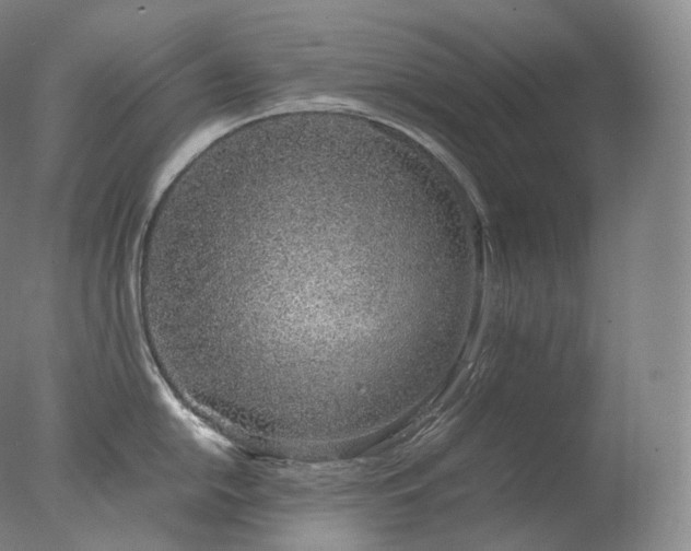 X0000077991054200610271105