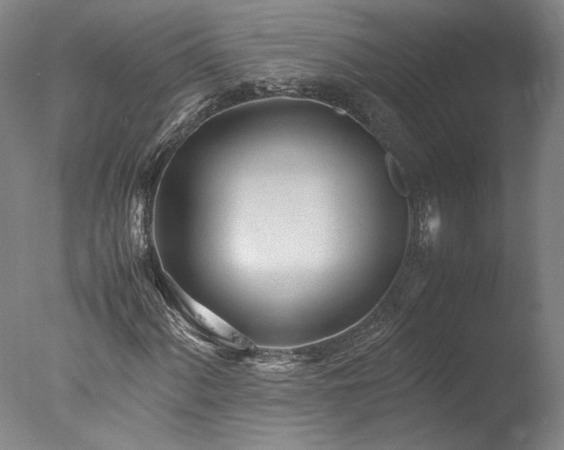 X0000077991060200610271105