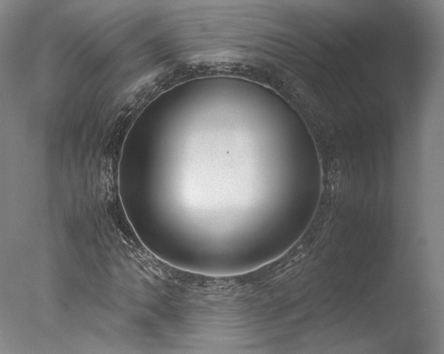 X0000077991062200610271105