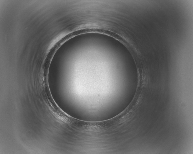 X0000077991070200610271104