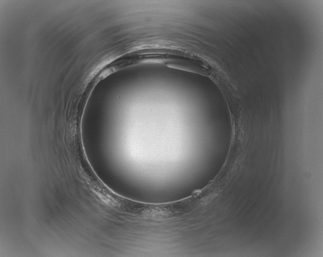 X0000077991073200610271104