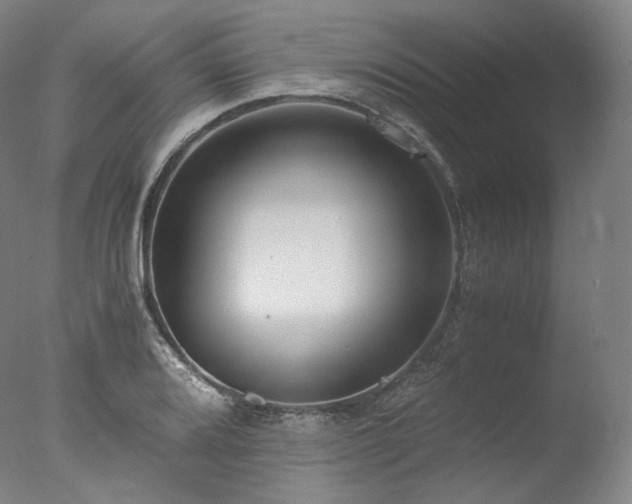 X0000077991080200610271104