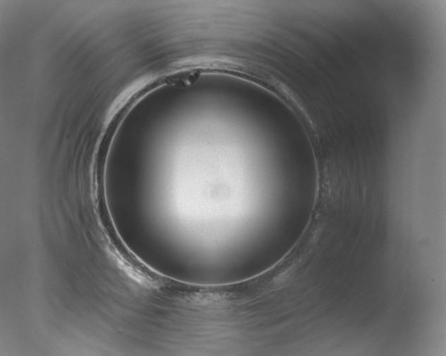 X0000077991082200610271104