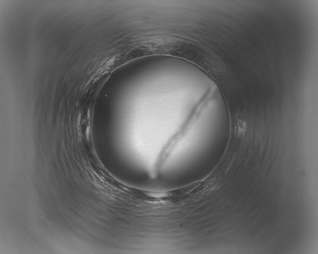X0000077991108200610271103
