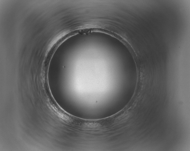 X0000077991119200610271103