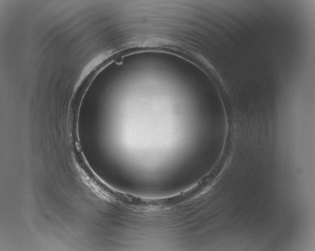 X0000077991122200610271103