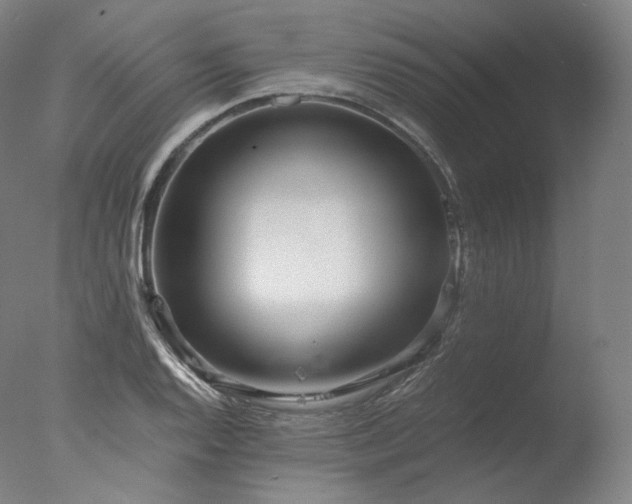 X0000077991128200610271103