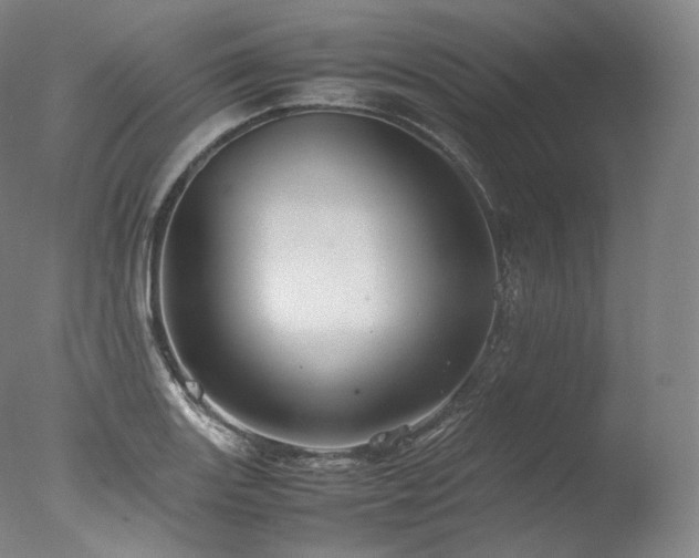 X0000077991131200610271103