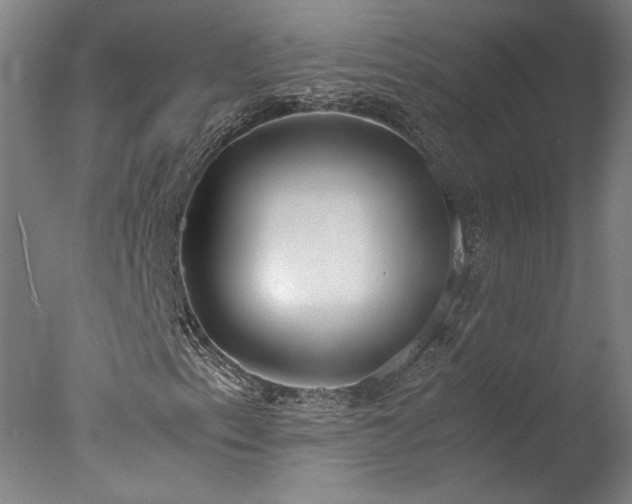 X0000077991153200610271103