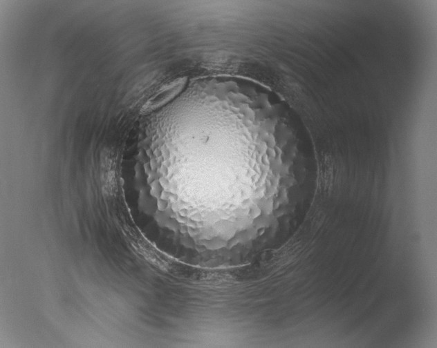 X0000077991154200610271103