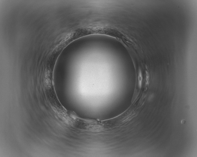 X0000077991156200610271103
