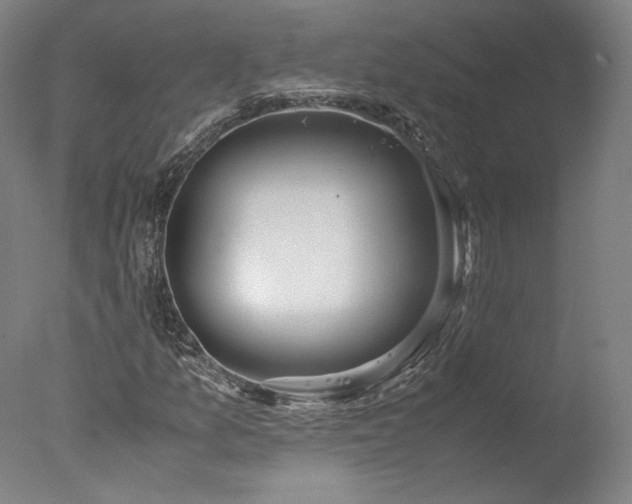 X0000077991157200610271103