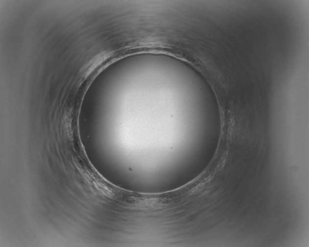 X0000077991162200610271103