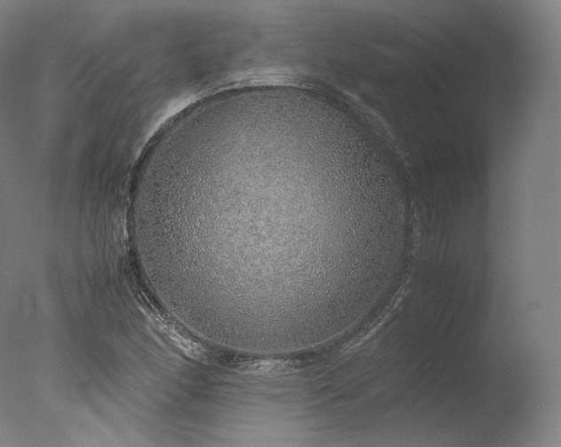 X0000077991166200610271103
