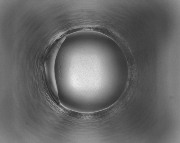 X0000077991169200610271103