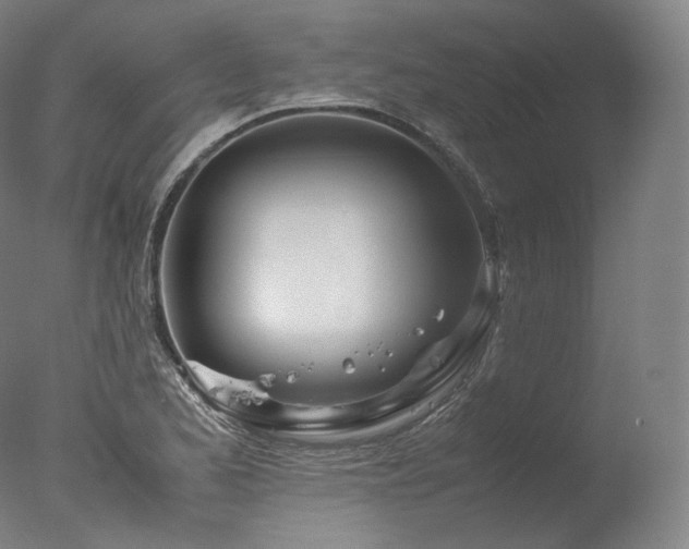 X0000077991173200610271103