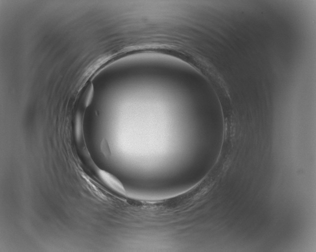 X0000077991177200610271103