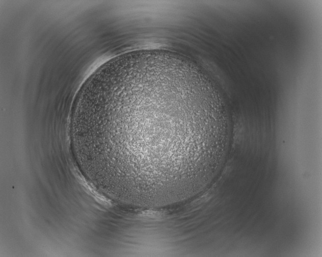 X0000077991178200610271103