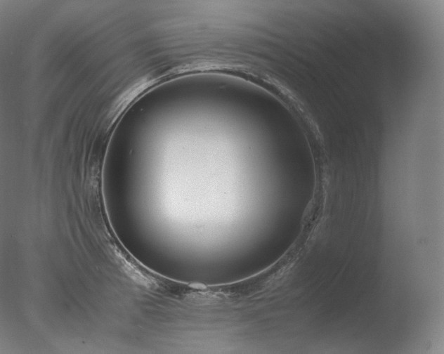 X0000077991185200610271102