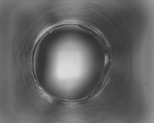 X0000077991192200610271102