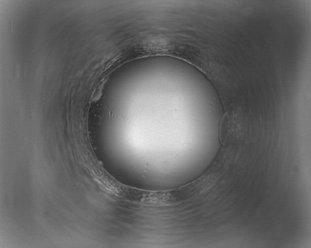 X0000077991201200610271101