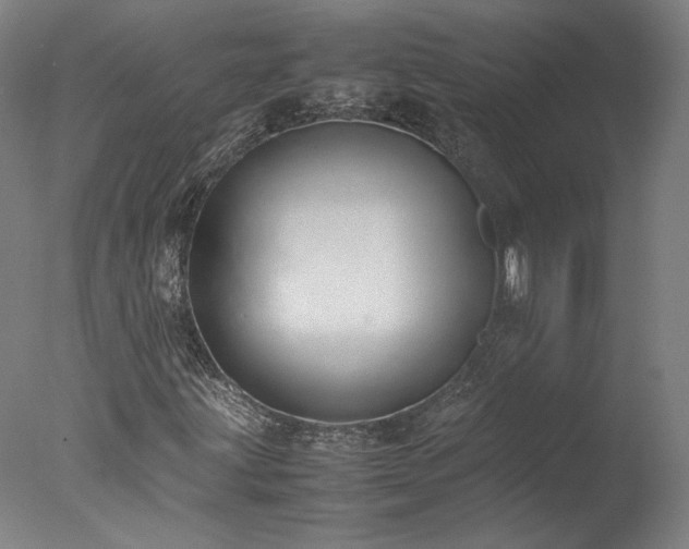 X0000077991203200610271101