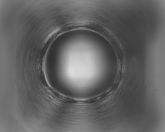 X0000077991210200610271102