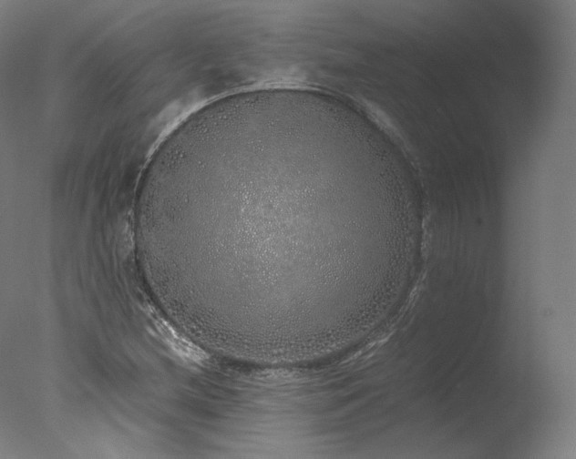 X0000077991212200610271102
