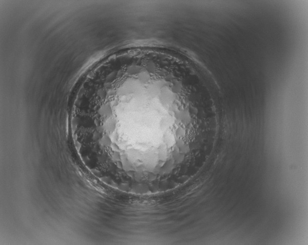 X0000077991221200610271102