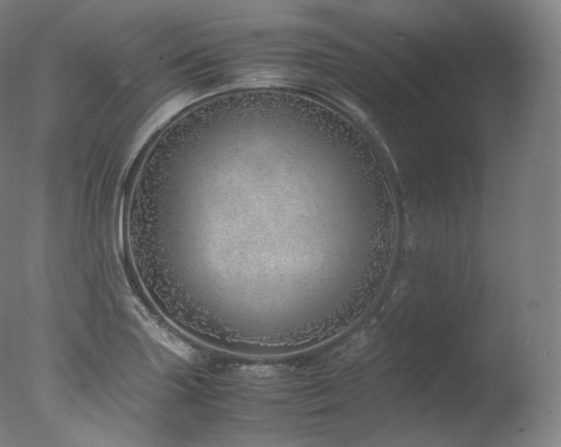 X0000077991227200610271102
