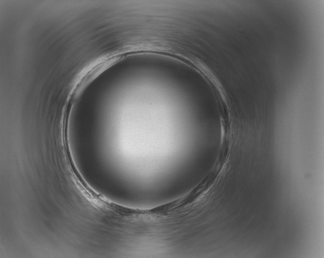 X0000077991246200610271102