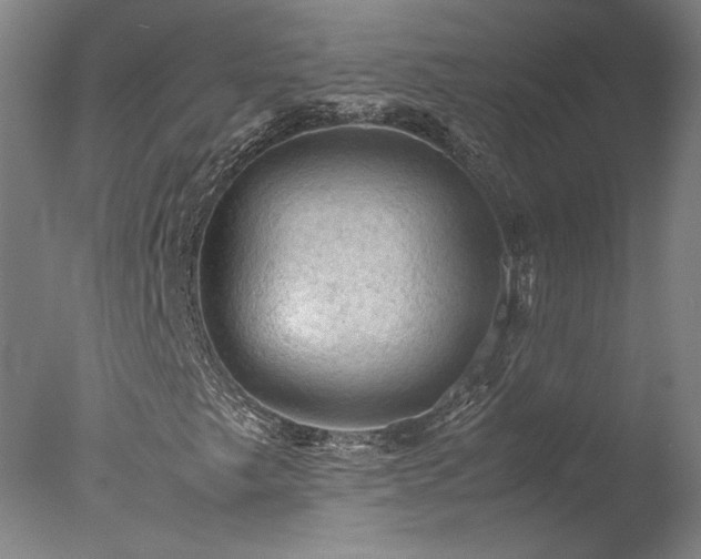 X0000077991249200610271101