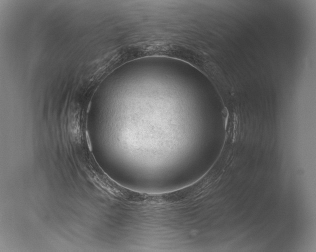 X0000077991250200610271101
