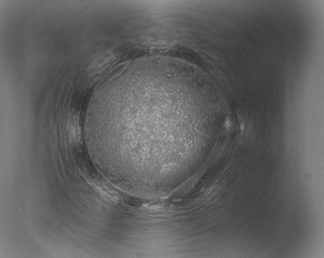 X0000077991252200610271101