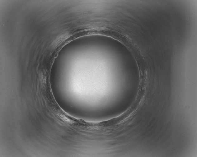 X0000077991257200610271101