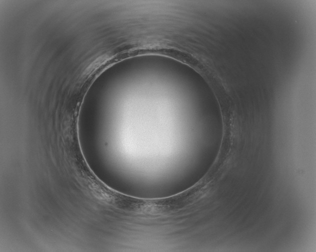 X0000077991265200610271101