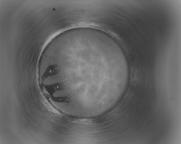 X0000077991280200610271101