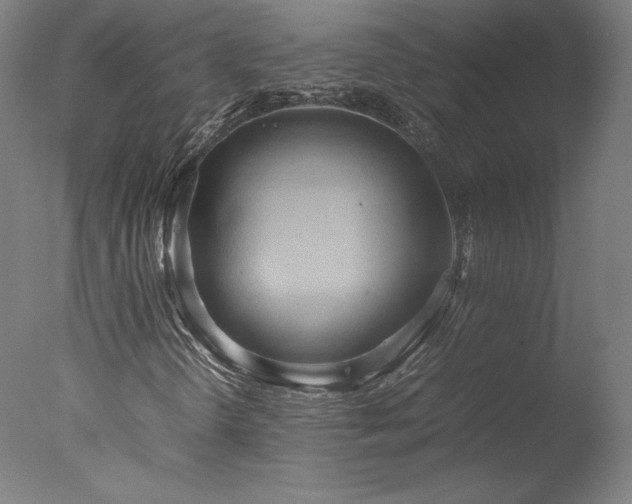 X0000077991298200610271100