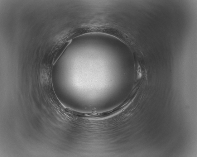 X0000077991300200610271100