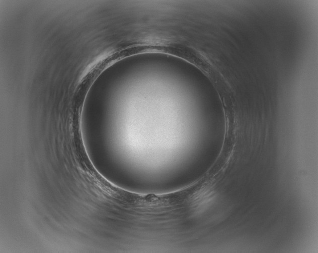 X0000077991307200610271100