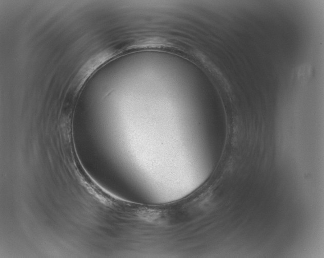 X0000077991329200610271100