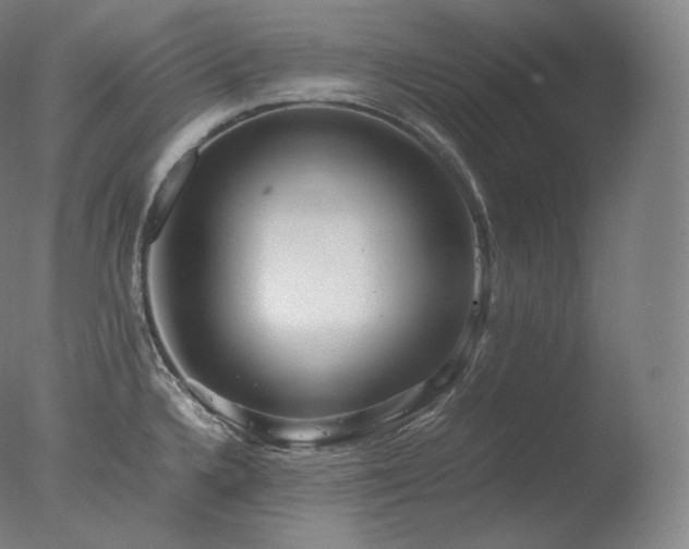 X0000077991336200610271100
