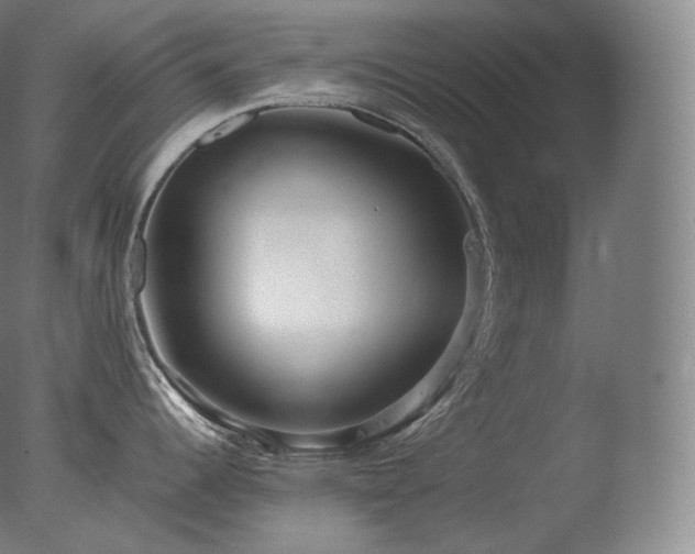 X0000077991344200610271101