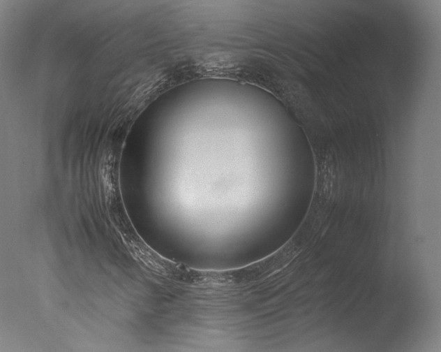 X0000077991346200610271100