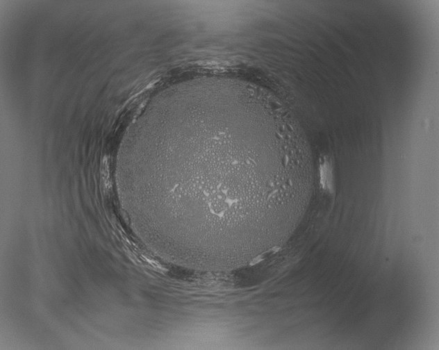 X0000077991347200610271100