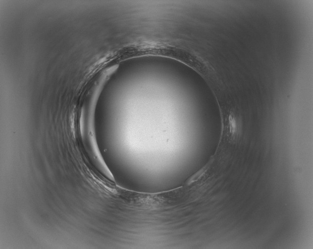 X0000077991348200610271100