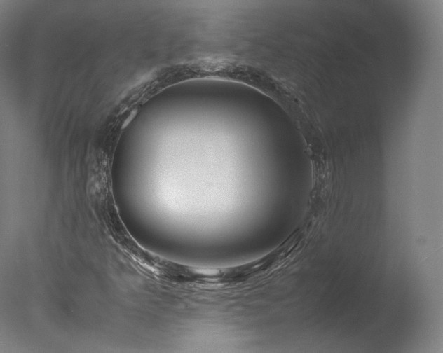 X0000077991349200610271100