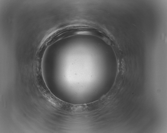 X0000077991352200610271100