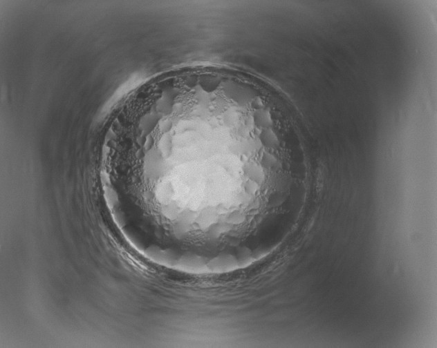 X0000077991359200610271100