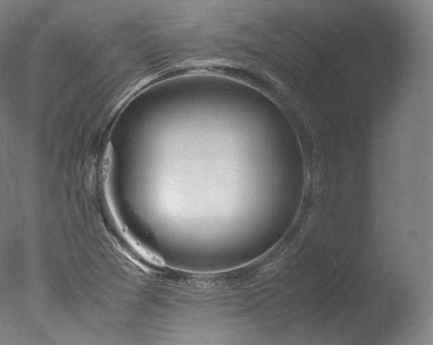 X0000077991361200610271059